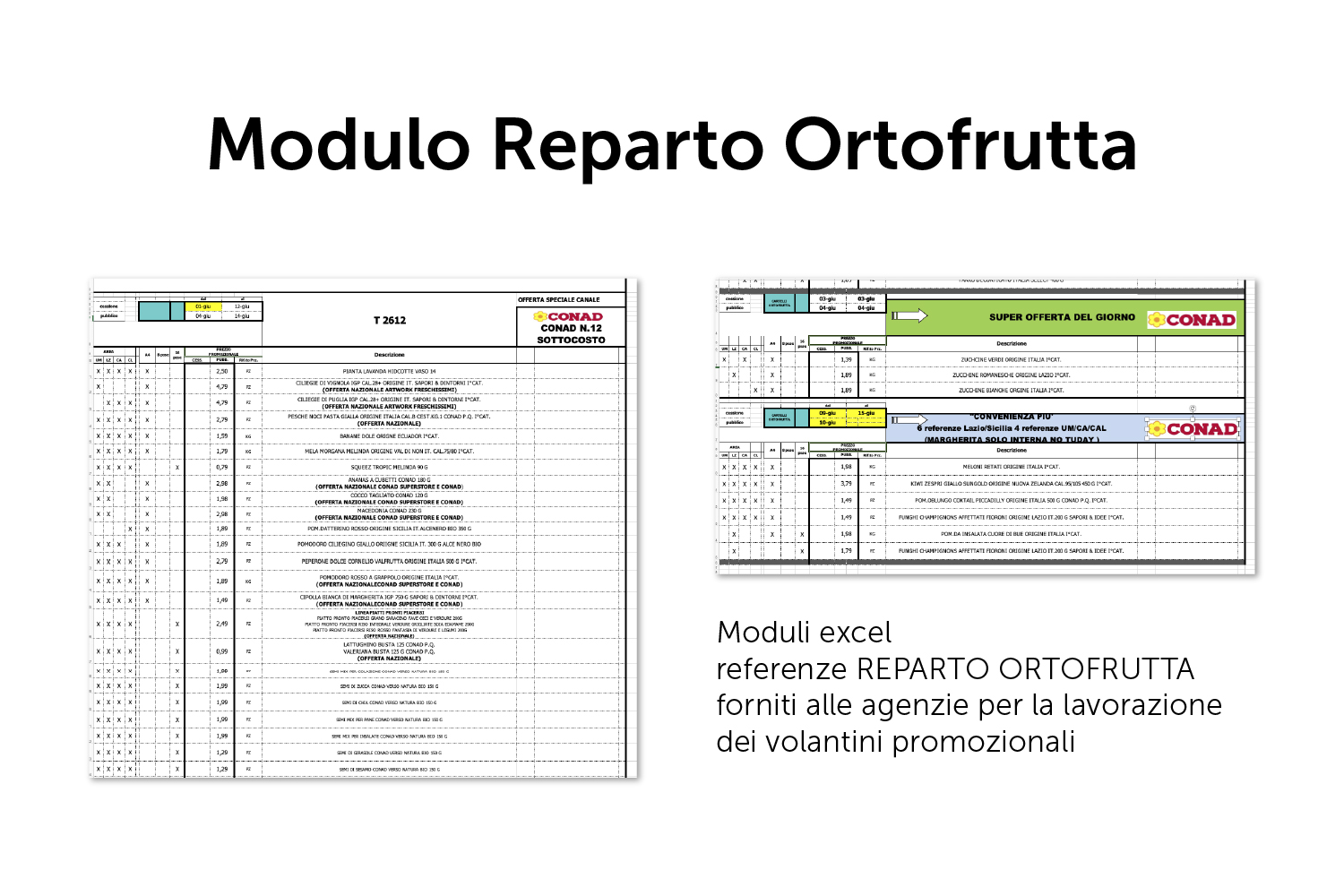 Modulo reparto ORTOFRUTTAa personalizzato per canale e area