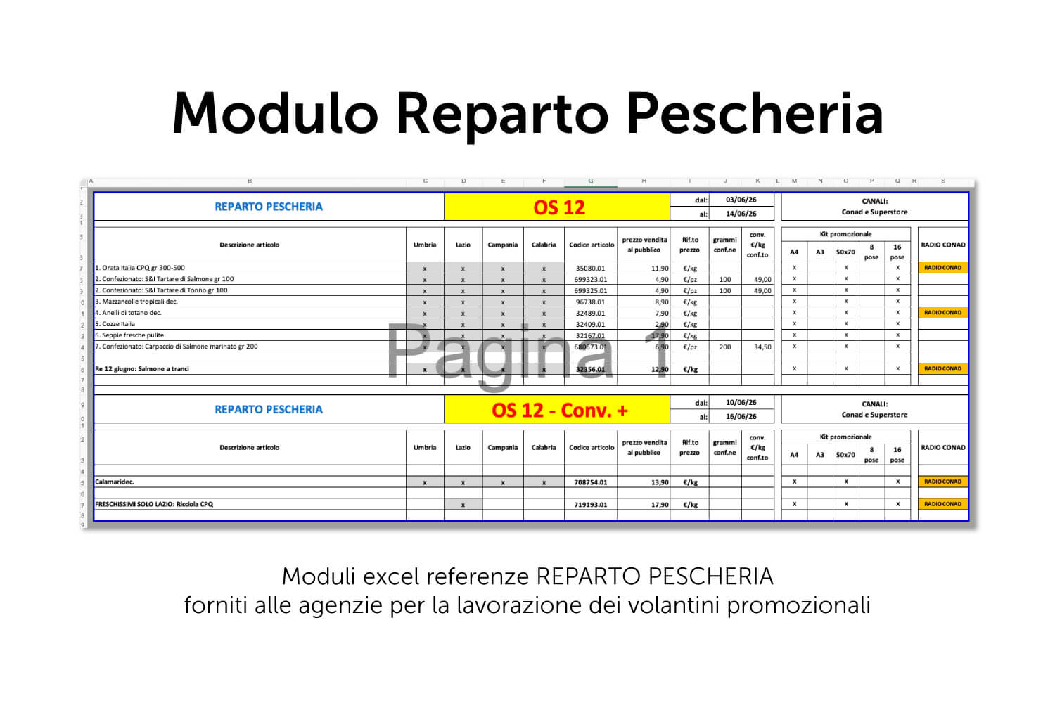 Modulo reparto PESCHERIA personalizzato per canale e area